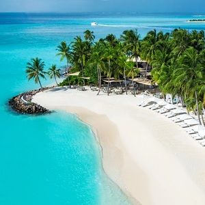 Meet your Posher, Hayden